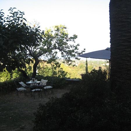 B&B Villa Panicucci Livorno Exterior photo