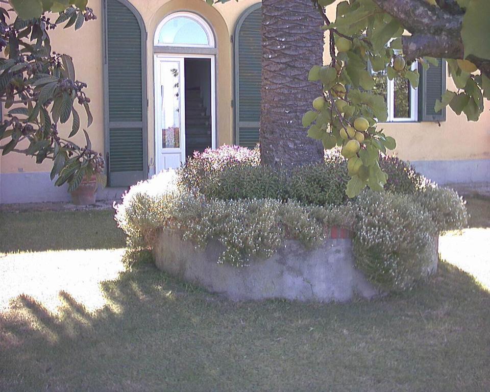 B&B Villa Panicucci Livorno Room photo