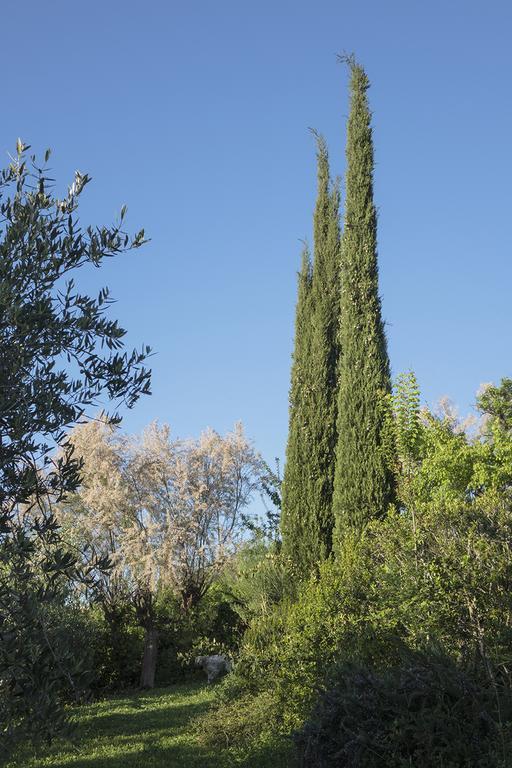 B&B Villa Panicucci Livorno Exterior photo