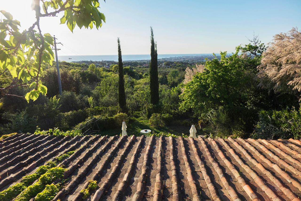B&B Villa Panicucci Livorno Exterior photo